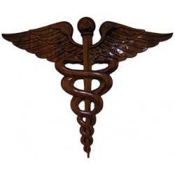 Medical Caduceus Insignia Plaque