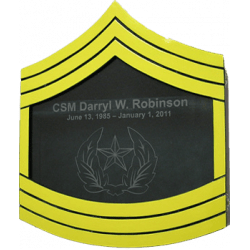 Shadow Box US Army E9 Painted Finish