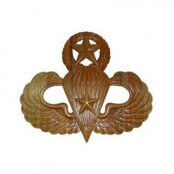 combat master jump wings insignia plaque