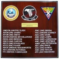 electronic attack squadron 141 navy deployment  plaque