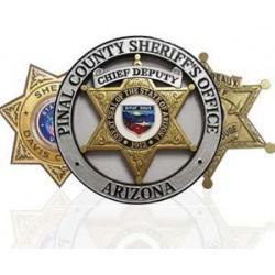 patches-and-badges-reproduction