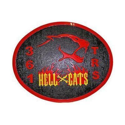 361 TRS Hellcats Squadron Plaque