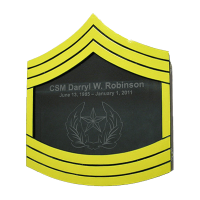 Shadow Box US Army E9 Painted Finish