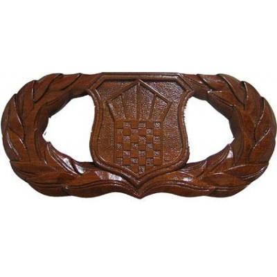 USAF Air Traffic Control Badge