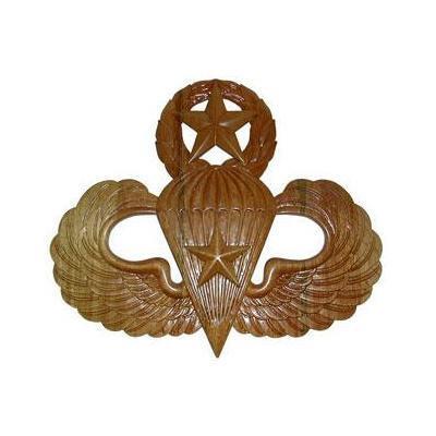combat master jump wings insignia plaque
